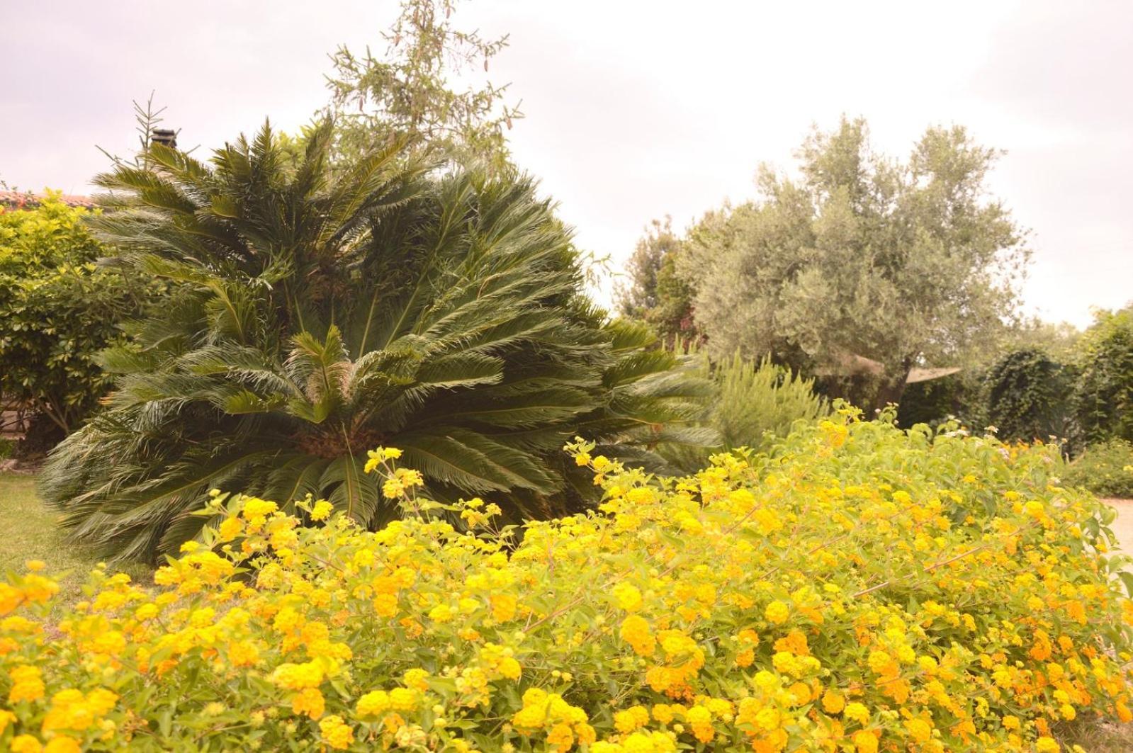 Spiaggia Lazzarettohouse Alghero Bagian luar foto